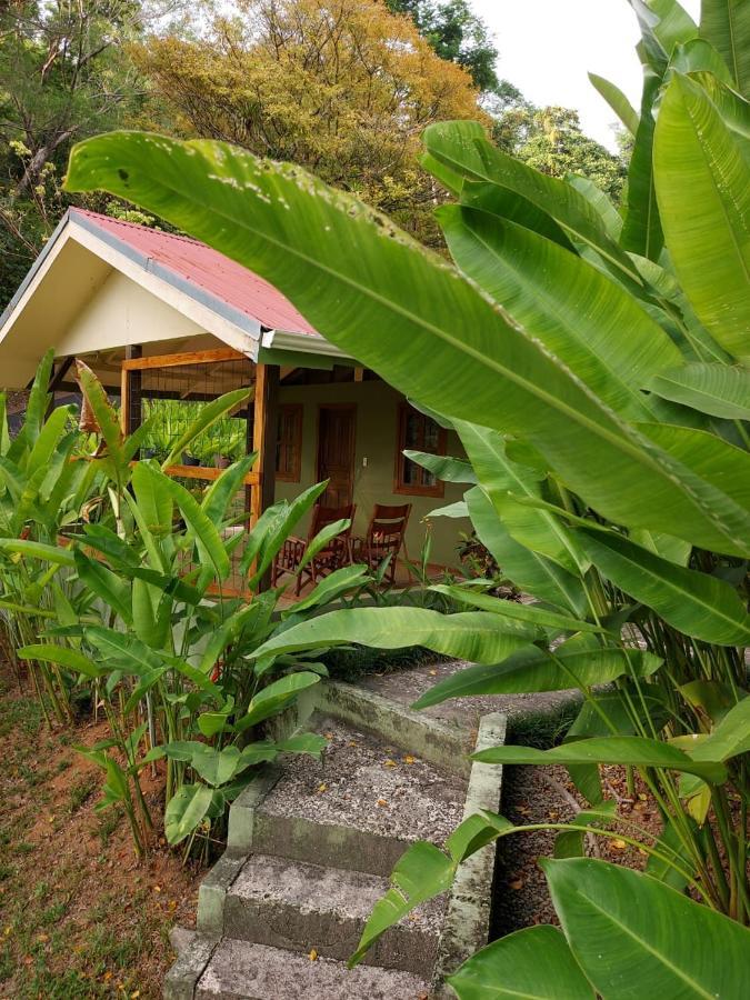 Cabina Rancho La Merced Uvita Buitenkant foto